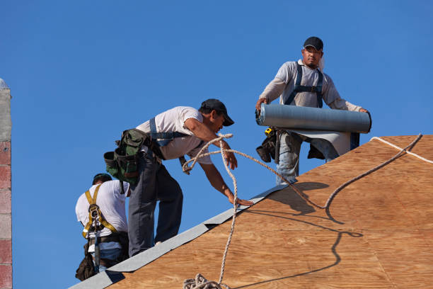 Professional Roofing Contractor in Carpinteria, CA